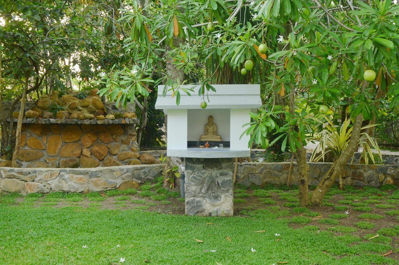 Nature Paradise Villa Балапития Экстерьер фото